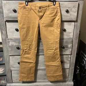 Tan boot cut chino trouser